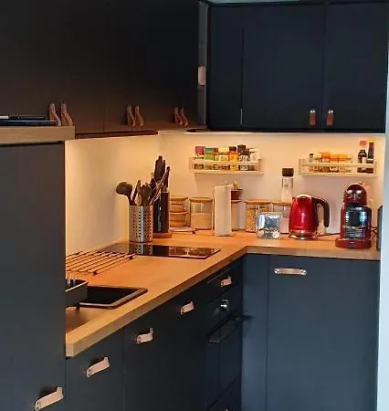 Apartament 2 Pieces Equipe Avec Parking Prive