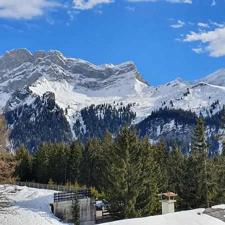 2 Pieces Equipe Avec Parking Prive Apartamento Gryon