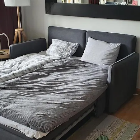 2 Pieces Equipe Avec Parking Prive Apartamento Gryon