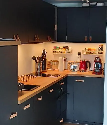 Apartamento 2 Pieces Equipe Avec Parking Prive