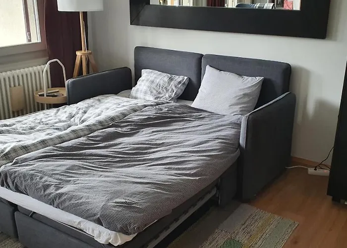 2 Pieces Equipe Avec Parking Prive Apartamento Gryon